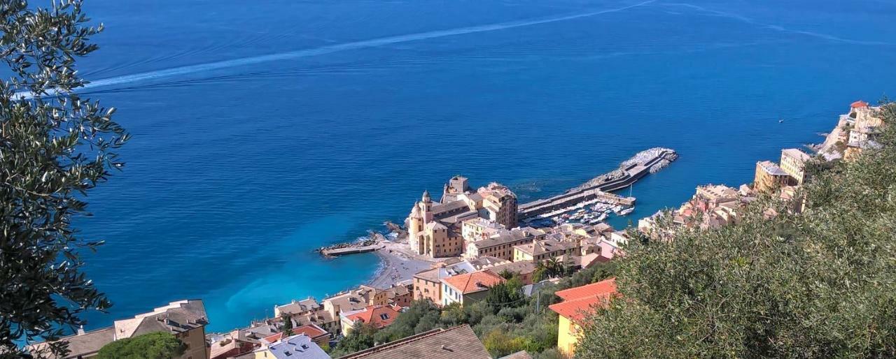 Camogli Golfo Paradiso La Casa Del Comandante ภายนอก รูปภาพ